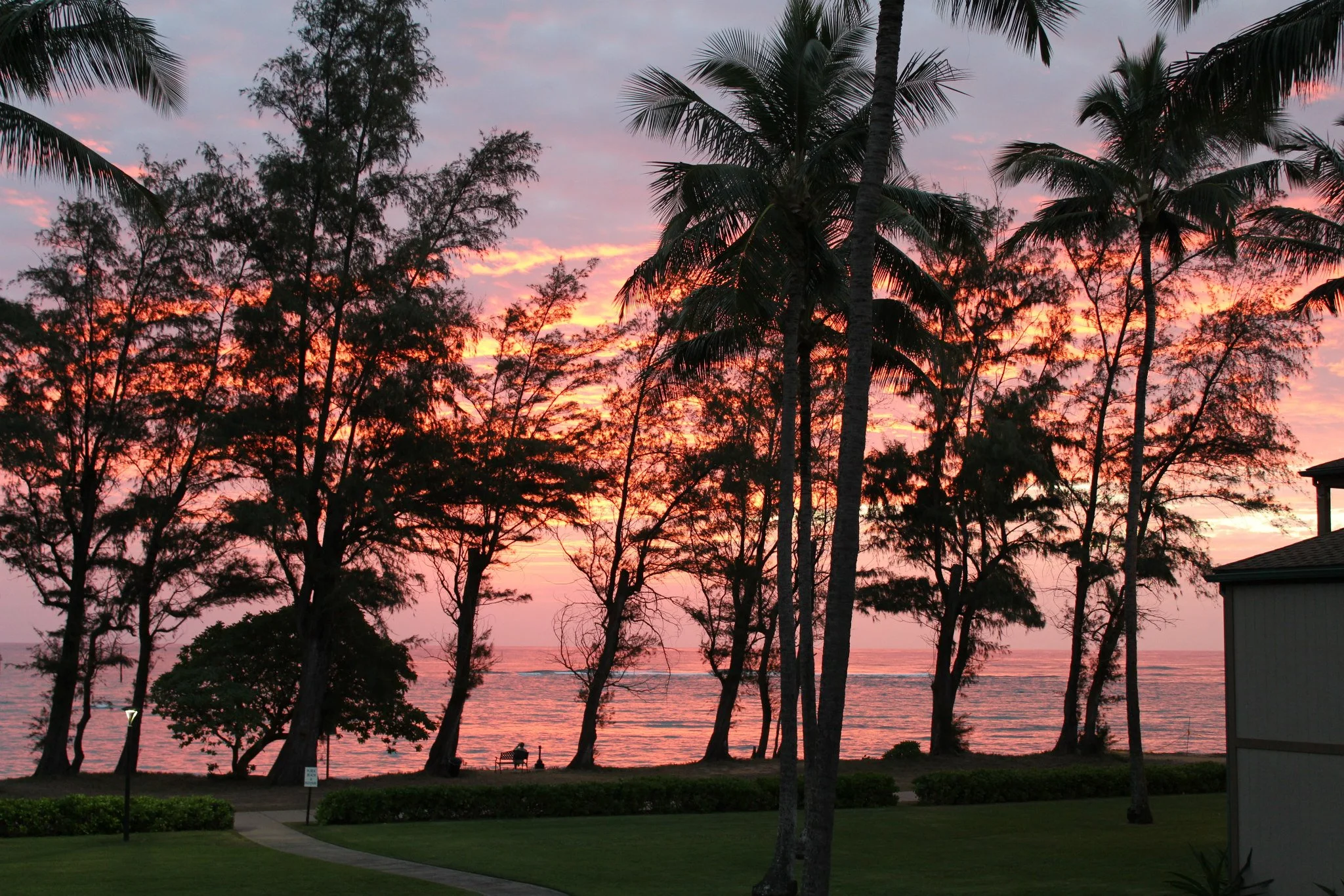 A particularly breathtaking sunrise in Kauai! 